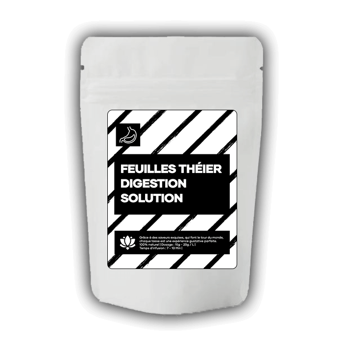 The-Digestion.png
